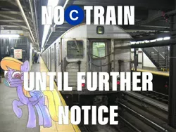 Size: 2048x1536 | Tagged: safe, artist:topsangtheman, derpibooru import, cloud kicker, pegasus, pony, c train, coronavirus, covid-19, irl, looking at you, n95, new york city, new york city subway, photo, ponies in real life, ppe, r32