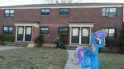 Size: 5952x3348 | Tagged: safe, artist:topsangtheman, derpibooru import, rain dancer, pegasus, pony, house, irl, looking at you, photo, ponies in real life, solo, traditional art