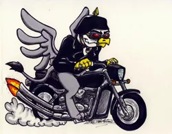 Size: 1024x798 | Tagged: safe, artist:sketchywolf-13, derpibooru import, oc, unofficial characters only, gryphon, clothes, commission, fire, goggles, griffon oc, harley davidson, helmet, male, motorcycle, riding, simple background, smoke, solo, tail, traditional art, white background, wings