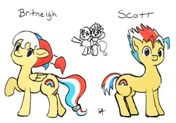 Size: 1382x969 | Tagged: safe, artist:underwoodart, derpibooru import, oc, unofficial characters only, earth pony, pegasus, concept art, contest entry, design, multicolored hair, twins, ukbp, union jack