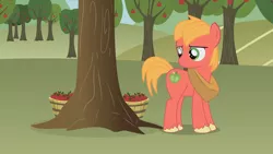 Size: 1246x701 | Tagged: safe, artist:agrol, derpibooru import, big macintosh, earth pony, pony, apple, apple tree, colt, colt big macintosh, cute, food, horse collar, i can't believe it's not hasbro studios, macabetes, male, sweet apple acres, tree, when you're a filly, younger, youtube link
