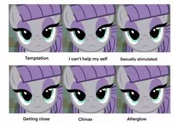 Size: 1280x918 | Tagged: suggestive, derpibooru import, maud pie, earth pony, pony, female, sex face meme, solo, solo female