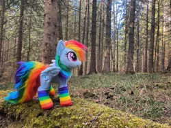 Size: 4032x3024 | Tagged: artist:epicrainbowcrafts, clothes, derpibooru import, forest, irl, pegasus, photo, plushie, rainbow dash, rainbow socks, russia, safe, socks, solo, striped socks