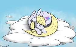 Size: 1920x1200 | Tagged: safe, artist:skydreams, derpibooru import, oc, oc:loves lift, unofficial characters only, pegasus, pony, behaving like a cat, cloud, commission, curled up, female, mare, on a cloud, sleeping, solo