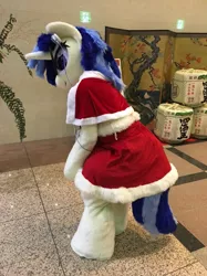 Size: 719x960 | Tagged: safe, derpibooru import, vinyl scratch, human, christmas, christmas outfit, clothes, cosplay, costume, fursuit, holiday, irl, irl human, japan, outfit, photo