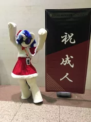 Size: 719x960 | Tagged: safe, derpibooru import, vinyl scratch, human, christmas, christmas outfit, clothes, cosplay, costume, fursuit, hat, holiday, irl, irl human, japan, photo, santa hat