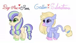 Size: 1024x582 | Tagged: safe, artist:kittystar614, derpibooru import, hippogriff, hippogriffon, hybrid, pony, cute, female, filly, interspecies offspring, offspring, parent:big macintosh, parent:coloratura, parent:gallus, parent:silverstream, parents:gallstream, parents:raramac, simple background, white background