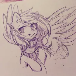 Size: 640x640 | Tagged: source needed, safe, artist:solnuh, derpibooru import, oc, oc:mirta whoowlms, unofficial characters only, pegasus, pony, clothes, looking at you, pencil drawing, scarf, simple background, smiling, traditional art, white background, wings