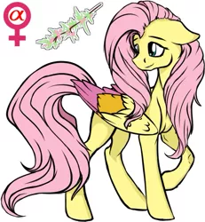 Size: 577x625 | Tagged: safe, artist:chrysolite, derpibooru import, part of a set, fluttershy, pegasus, pony, alpha, colored wings, fanfic art, female, futa, herm, intersex, mare, simple background, solo, white background, wings