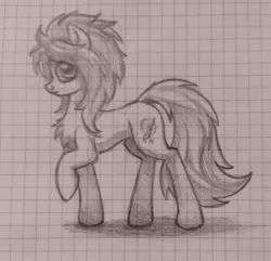 Size: 1280x1235 | Tagged: safe, artist:zetamad, derpibooru import, oc, oc:lemon sketch, unofficial characters only, earth pony, pony, chest fluff, graph paper, sketch, solo, traditional art