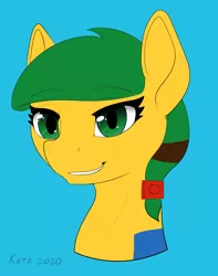 Size: 3048x3861 | Tagged: safe, artist:kota, derpibooru import, oc, oc:blocky bits, earth pony, pony, female, mare, solo