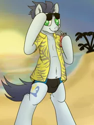 Size: 3024x4032 | Tagged: suggestive, artist:tacomytaco, derpibooru import, soarin', pegasus, pony, beach, belly button, bipedal, clothes, crotch bulge, drink, drinking, hawaiian shirt, looking at you, male, open clothes, open shirt, shirt, solo, solo male, speedo, sunglasses, sunset, swimsuit, underwear