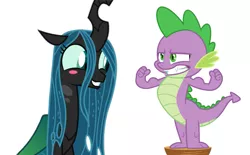 Size: 1127x697 | Tagged: alicorn, blushing, changeling, changeling queen, chryspike, cute, cutealis, derpibooru import, dragon, edit, edited edit, edited vector, editor:undeadponysoldier, female, impressed, looking good spike, male, muscles, queen chrysalis, safe, shipping, simple background, spike, stool, straight, white background