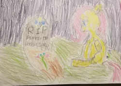 Size: 2738x1960 | Tagged: safe, artist:joeydr, derpibooru import, fluttershy, pegasus, pony, female, gravestone, implied death, implied pinkie pie, mare, redraw, remake, sad, signature, solo, traditional art