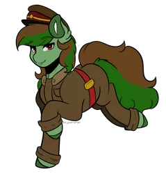 Size: 4200x4400 | Tagged: safe, artist:cyberafter, derpibooru import, oc, oc:green dirt, unofficial characters only, earth pony, pony, clothes, hat, outfit, simple background, solo, transparent background