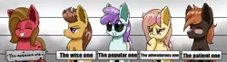 Size: 1280x352 | Tagged: safe, artist:clouddg, derpibooru import, oc, oc:marigold, oc:melony, oc:pun, oc:rubik, oc:sunshine morning, unofficial characters only, earth pony, pony, ask pun, ask, female, glasses, male, mare, sign, stallion, sunglasses