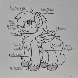 Size: 2311x2311 | Tagged: artist:drheartdoodles, chest fluff, clydesdale, derpibooru import, oc, oc:dr.heart, pegasus, safe, solo, traditional art, unofficial characters only, unshorn fetlocks