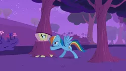 Size: 1920x1080 | Tagged: safe, derpibooru import, screencap, fluttershy, rainbow dash, pegasus, pony, hurricane fluttershy, clothes, costume, disguise, female, fluttertree, mare, multicolored mane, multicolored tail, nervous, night, pushing, rainbow dash is not amused, reluctant, spread wings, tree, tree costume, unamused, wings