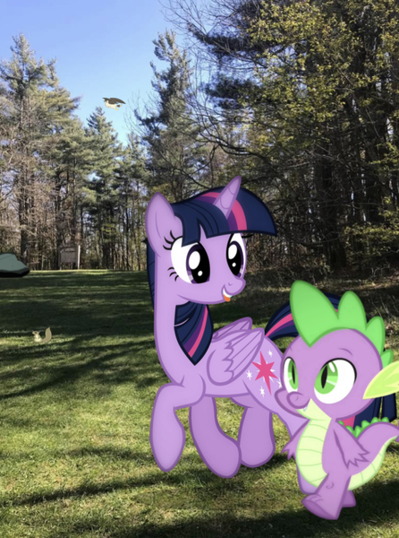 Size: 1242x1669 | Tagged: safe, derpibooru import, photographer:undeadponysoldier, spike, twilight sparkle, twilight sparkle (alicorn), alicorn, bird, falcon, pony, squirrel, cascade falls, dragons in real life, forest, grass, happy, hiking, irl, nature, photo, ponies in real life, rock, tongue out, tree