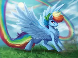 Size: 2048x1536 | Tagged: safe, artist:chillyfish, derpibooru import, rainbow dash, pegasus, pony, alternate hairstyle, cheek fluff, chest fluff, cloud, colored hooves, female, fluffy, leg fluff, mare, rainbow trail, sky, solo, spread wings, sun, wings