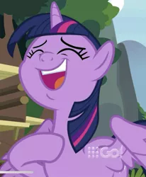 Size: 646x785 | Tagged: safe, derpibooru import, screencap, twilight sparkle, twilight sparkle (alicorn), alicorn, pony, memnagerie, spoiler:memnagerie, spoiler:mlp friendship is forever, 9now, cropped, eyes closed, faic, female, hoof on chest, mare, open mouth, raised hoof, solo, spread wings, wings