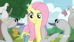 Size: 1280x720 | Tagged: safe, derpibooru import, screencap, angel bunny, fluttershy, bird, butterfly, pegasus, pigeon, pony, rabbit, swan, memnagerie, spoiler:memnagerie, spoiler:mlp friendship is forever, animal, female, flapping, flying, glare, grin, looking at each other, looking down, mare, narrowed eyes, raised eyebrow, raised hoof, smiling, talking