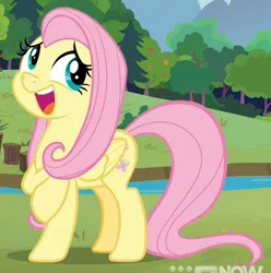 Size: 518x522 | Tagged: safe, derpibooru import, screencap, fluttershy, pegasus, pony, memnagerie, spoiler:memnagerie, spoiler:mlp friendship is forever, cropped, solo