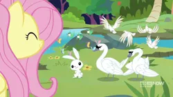 Size: 1280x720 | Tagged: safe, derpibooru import, screencap, angel bunny, fluttershy, bird, pegasus, pony, swan, memnagerie, spoiler:memnagerie, spoiler:mlp friendship is forever, 9now, smiling