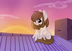 Size: 2651x1874 | Tagged: safe, artist:per_siiik, derpibooru import, oc, oc:katya, unofficial characters only, pegasus, pony, base used, female, glasses, house, mare, photo, roof, rooftop, solo, sunset