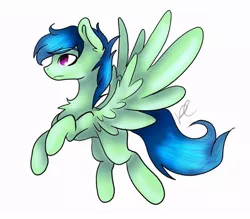 Size: 720x630 | Tagged: safe, artist:w0lfgirl666, derpibooru import, oc, oc:dex bolts, pegasus, pony, chest fluff, male, redesign, simple background, solo, spread wings, stallion, white background, wings