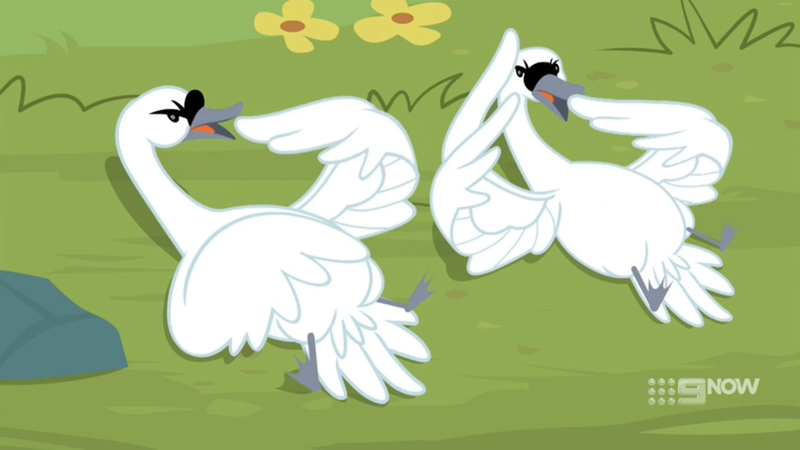 Size: 1600x900 | Tagged: 9now, bird, derpibooru import, diva, eloise, flower, grass, hubert (swan), memnagerie, outdoors, pointing, safe, screencap, spoiler:memnagerie, spoiler:mlp friendship is forever, swan, watermark