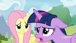 Size: 1600x900 | Tagged: safe, derpibooru import, screencap, fluttershy, twilight sparkle, twilight sparkle (alicorn), alicorn, pegasus, pony, memnagerie, spoiler:memnagerie, spoiler:mlp friendship is forever, 9now, disappointed, displeased, duo, female, floppy ears, frown, groan, mare, outdoors, sigh, twilight is not amused, unamused, watermark