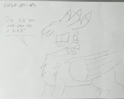 Size: 2231x1783 | Tagged: safe, artist:sketchwork_gd_inuk, derpibooru import, gallus, gryphon, birb, black and white, blushing, dialogue, grayscale, male, monochrome, solo, traditional art