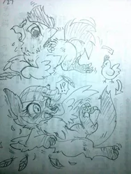 Size: 480x640 | Tagged: artist:kyubi, bird, black and white, blushing, chicken, derpibooru import, exclamation point, feather, fox, grayscale, interrobang, monochrome, open mouth, pencil drawing, question mark, safe, scootachicken, scootaloo, solo, sweat, sweatdrops, teary eyes, traditional art, transformation, winged fox