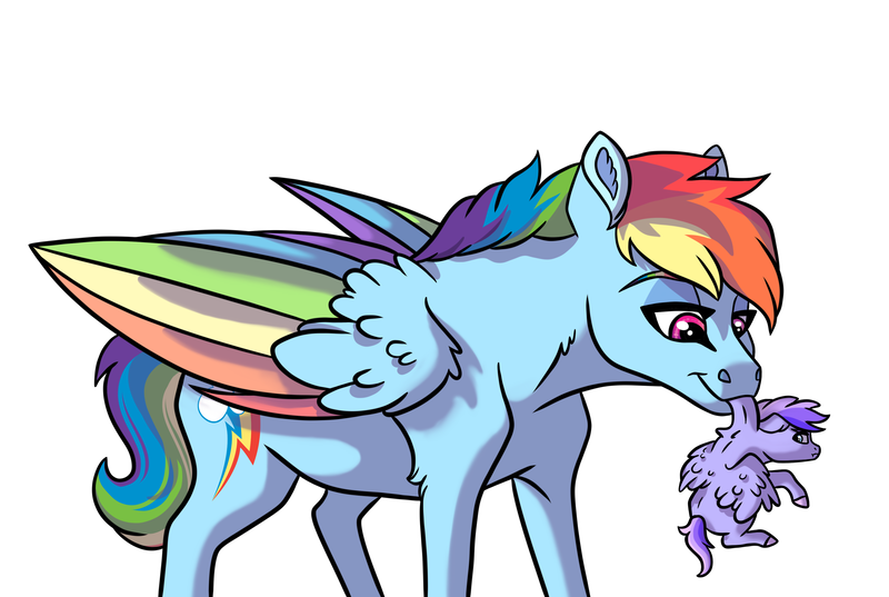 Size: 3885x2607 | Tagged: safe, artist:venommocity, derpibooru import, rainbow dash, oc, oc:astra, pegasus, pony, baby, baby pony, carrying, colored wings, female, filly, foal, holding a pony, mare, mother and child, mother and daughter, mouth hold, multicolored wings, offspring, parent:dumbbell, parent:rainbow dash, parents:dumbdash, rainbow wings, scruff, simple background, smol, white background, wings