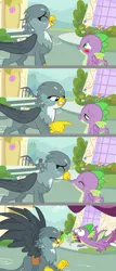 Size: 1024x2385 | Tagged: safe, artist:silverbuller, derpibooru import, edit, gabby, spike, dragon, gryphon, bad timing, bedroom eyes, blushing, burp, female, imminent kissing, letter, male, shipping, spabby, straight, winged spike