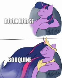 Size: 1600x2000 | Tagged: safe, artist:rocket-lawnchair, derpibooru import, princess twilight 2.0, twilight sparkle, twilight sparkle (alicorn), alicorn, pony, the last problem, 2 panel comic, armchair, bookhorse, caption, comic, female, image macro, mare, meme, ponified meme, sitting, solo, text, winnie the pooh