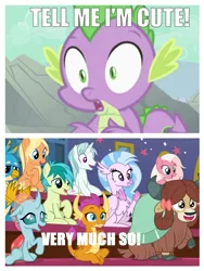 Size: 1212x1614 | Tagged: safe, derpibooru import, edit, edited edit, edited screencap, screencap, amber grain, gallus, ocellus, sandbar, silverstream, smolder, snowy quartz, spike, yona, changedling, changeling, classical hippogriff, dragon, earth pony, gryphon, hippogriff, pony, yak, a dog and pony show, a rockhoof and a hard place, bow, cheering, clapping, cloven hooves, colored hooves, cropped, cute, dialogue, diaocelles, diastreamies, dragoness, female, friendship student, gallabetes, hair bow, jewelry, malachite (sailor moon), male, monkey swings, necklace, sailor moon, sandabetes, school of friendship, smolderbetes, spikabetes, spikelove, teenager, yonadorable