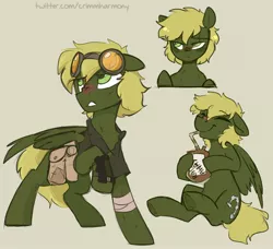 Size: 1560x1425 | Tagged: safe, artist:crimmharmony, derpibooru import, oc, oc:murky, unofficial characters only, pegasus, pony, fallout equestria, fallout equestria: murky number seven, bag, bandage, fanfic art, goggles, male, pipbuck, radaway, saddle bag, simple background, stallion