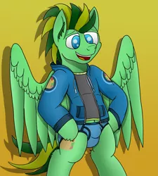 Size: 3629x4032 | Tagged: suggestive, artist:tacomytaco, derpibooru import, oc, oc:taco.m.tacoson, unofficial characters only, pegasus, pony, bipedal, blue underwear, briefs, clothes, crotch bulge, gradient background, hoodie, hooves on hips, male, shirt, smiling, solo, solo male, spread wings, underwear, wings