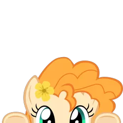 Size: 10000x10000 | Tagged: safe, artist:mrkat7214, derpibooru import, part of a set, pear butter, earth pony, pony, absurd resolution, cute, flower, flower in hair, lurking, pearabetes, peeking, simple background, solo, soon, transparent background, underhoof, vector