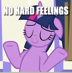 Size: 470x478 | Tagged: alicorn, caption, cropped, derpibooru import, edit, edited screencap, eyes closed, floppy ears, image macro, safe, screencap, shrug, solo, sparkle's seven, text, twilight sparkle, twilight sparkle (alicorn)