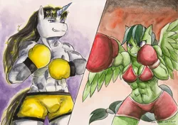 Size: 1280x903 | Tagged: suggestive, artist:souleatersaku90, derpibooru import, oc, oc:oscar, oc:slug out, unofficial characters only, anthro, pegasus, unicorn, abs, armpits, boxing, boxing gloves, boxing shorts, breasts, bulges, clothes, female, fight, horn, male, muscles, muscular female, pecs, request, sports, sports bra, traditional art, watercolor painting, wings