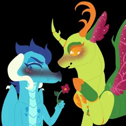 Size: 1000x1000 | Tagged: safe, artist:lepiswerid, derpibooru import, princess ember, thorax, changedling, changeling, dragon, black background, blushing, blushing profusely, cute, dragoness, emberbetes, embrax, eyelashes, female, flower, insect wings, king thorax, lineless, male, marsverse, redesign, separated horn, shipping, simple background, sparkles, straight, thorabetes, wings