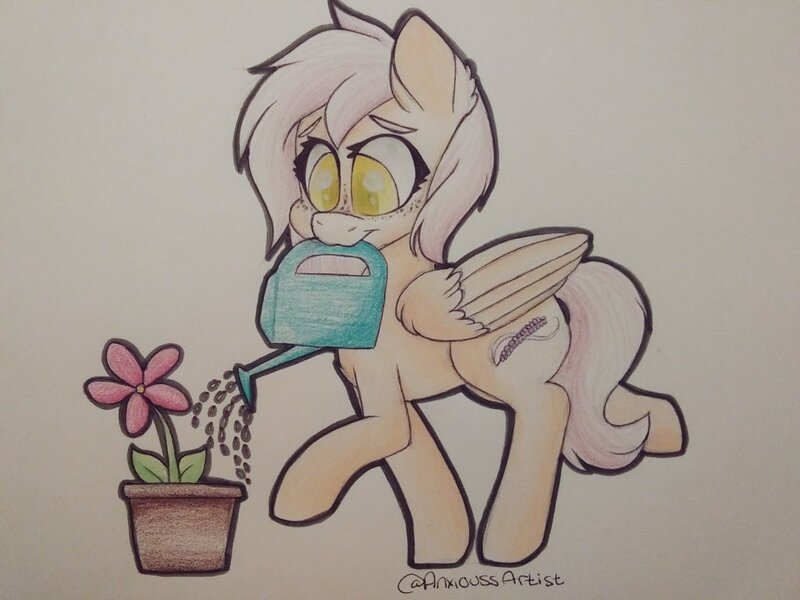 Size: 1024x768 | Tagged: artist:anxioussartist, derpibooru import, femboy, flower, male, oc, oc:lavender whisper, pegasus, safe, solo, traditional art, unofficial characters only, watering can