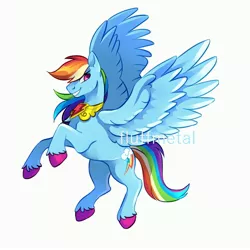 Size: 3000x3000 | Tagged: safe, artist:fluffmetal, derpibooru import, rainbow dash, pegasus, pony, backwards cutie mark, colored hooves, element of loyalty, female, grin, high res, jewelry, mare, rearing, signature, simple background, smiling, solo, spread wings, unshorn fetlocks, watermark, white background, wings