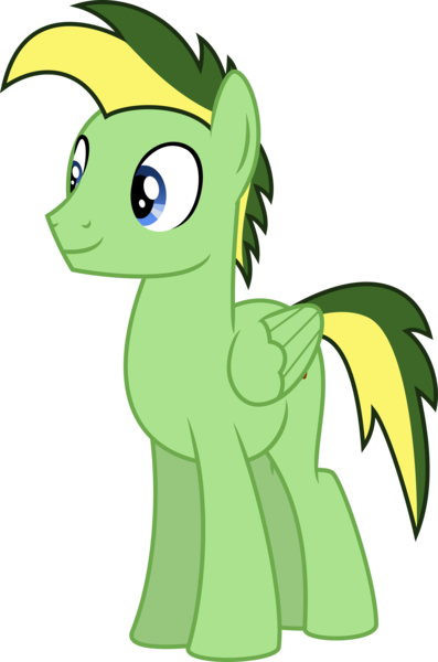 Size: 4000x6045 | Tagged: safe, artist:melisareb, derpibooru import, oc, oc:didgeree, unofficial characters only, pegasus, pony, absurd resolution, inkscape, male, simple background, solo, stallion, transparent background, vector