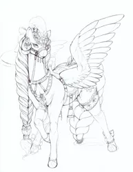 Size: 1199x1556 | Tagged: suggestive, artist:longinius, derpibooru import, princess celestia, alicorn, pony, alternate hairstyle, braid, braided tail, bridle, clothes, feather, female, garter, harness, jewelry, lineart, mare, monochrome, plume, ribbon, saddle, showpony, simple background, socks, solo, solo female, spread legs, spread wings, spreading, stirrups, stockings, tack, thigh highs, white background, wings