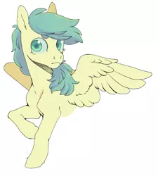 Size: 900x998 | Tagged: safe, artist:amphoera, derpibooru import, oc, oc:venti via, unofficial characters only, pegasus, pony, female, mare, simple background, solo, white background