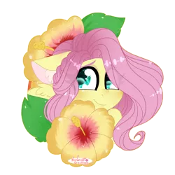 Size: 4000x4000 | Tagged: safe, artist:kawaiicofficial, artist:kawaiicreative, derpibooru import, part of a set, fluttershy, pegasus, pony, absurd resolution, bust, cute, ear fluff, eye clipping through hair, female, floppy ears, flower, looking at you, mare, portrait, shyabetes, simple background, smiling, solo, transparent background